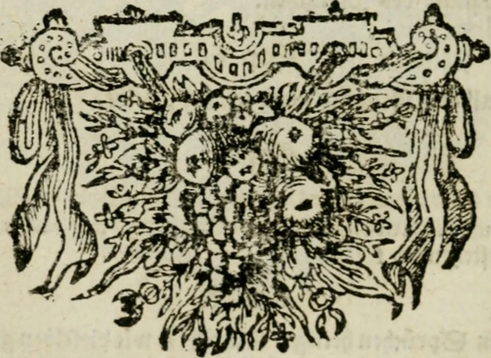 An illustration from Des gottseeligen hocherleuchteten Jacob Böhmens teutonici Philosophi Alle theosophische Wercken : darinnen alle tieffe Geheimnüsse Gottes der ewigen und zeitlichen Natur und Creatur : samt dem wahren Grunde christlicher Religion und der Gottseeligkeit, nach dem apostolischen Gezeugnüss offenbahrer werden : theils aus des Authoris eigenen Originalen, theils aus den ersten und nachgesehenen besten Copyen auffs fleissigste corrigiret : und in Beyfügung etlicher Clavium so vorhin noch nie gedruckt, nebenst einem zweyfachen Register : den Liebhabern göttlicher und natürlicher Weissheit zum besten an Tag gegeben, 1682, leaf 997