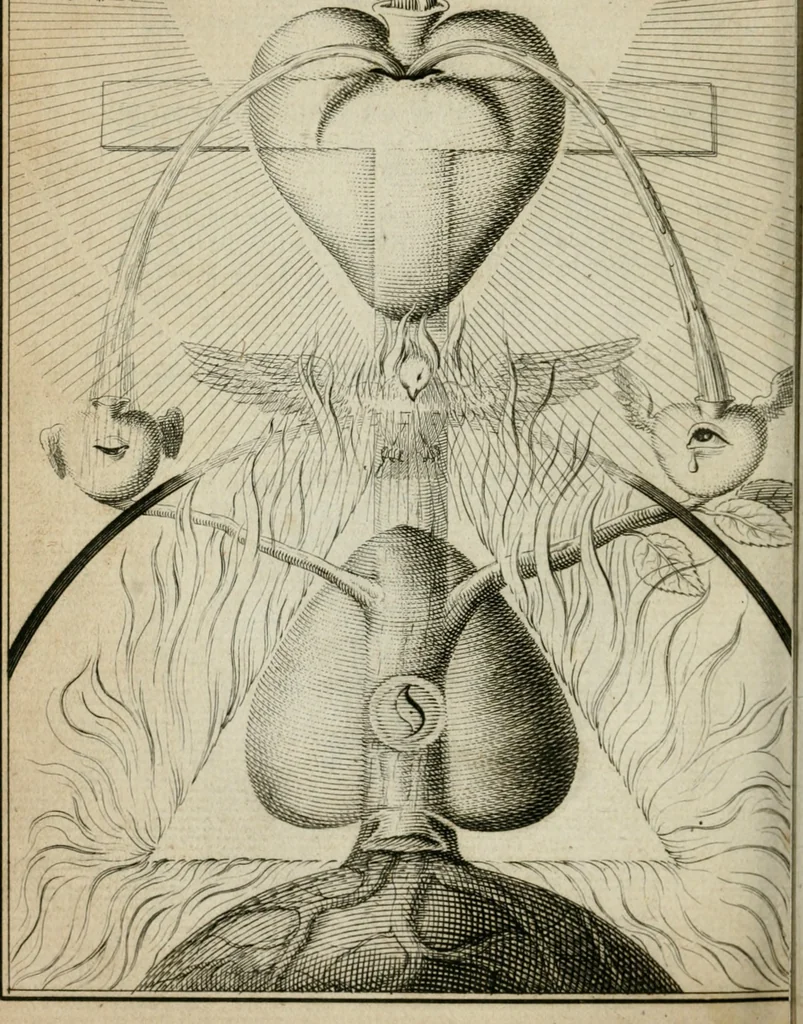 An illustration from Des gottseeligen hocherleuchteten Jacob Böhmens teutonici Philosophi Alle theosophische Wercken : darinnen alle tieffe Geheimnüsse Gottes der ewigen und zeitlichen Natur und Creatur : samt dem wahren Grunde christlicher Religion und der Gottseeligkeit, nach dem apostolischen Gezeugnüss offenbahrer werden : theils aus des Authoris eigenen Originalen, theils aus den ersten und nachgesehenen besten Copyen auffs fleissigste corrigiret : und in Beyfügung etlicher Clavium so vorhin noch nie gedruckt, nebenst einem zweyfachen Register : den Liebhabern göttlicher und natürlicher Weissheit zum besten an Tag gegeben, 1682, leaf 999