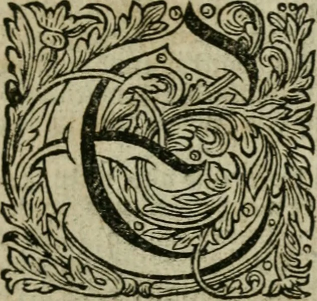 An illustration from Des gottseeligen hocherleuchteten Jacob Böhmens teutonici Philosophi Alle theosophische Wercken : darinnen alle tieffe Geheimnüsse Gottes der ewigen und zeitlichen Natur und Creatur : samt dem wahren Grunde christlicher Religion und der Gottseeligkeit, nach dem apostolischen Gezeugnüss offenbahrer werden : theils aus des Authoris eigenen Originalen, theils aus den ersten und nachgesehenen besten Copyen auffs fleissigste corrigiret : und in Beyfügung etlicher Clavium so vorhin noch nie gedruckt, nebenst einem zweyfachen Register : den Liebhabern göttlicher und natürlicher Weissheit zum besten an Tag gegeben, 1682, leaf 1078