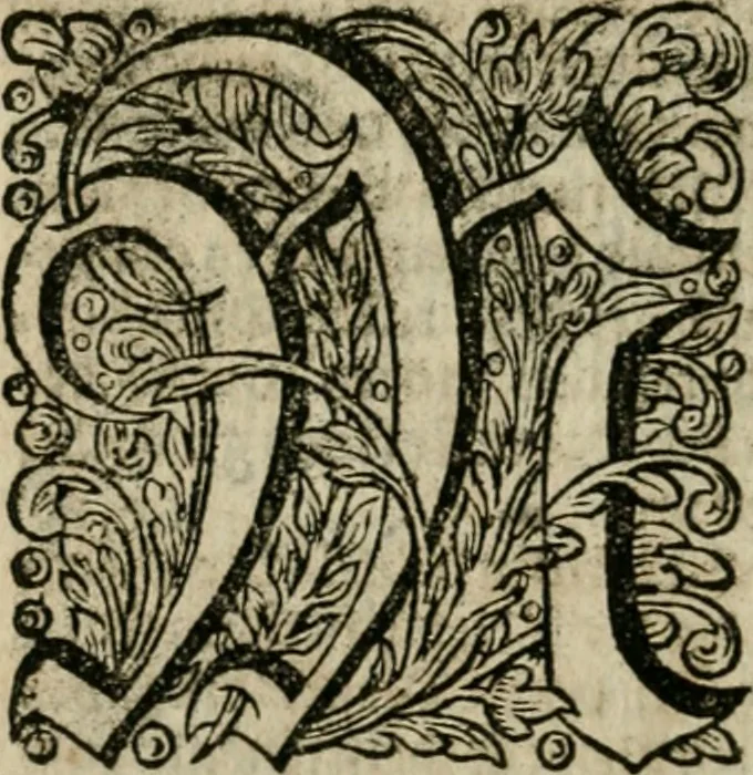 An illustration from Des gottseeligen hocherleuchteten Jacob Böhmens teutonici Philosophi Alle theosophische Wercken : darinnen alle tieffe Geheimnüsse Gottes der ewigen und zeitlichen Natur und Creatur : samt dem wahren Grunde christlicher Religion und der Gottseeligkeit, nach dem apostolischen Gezeugnüss offenbahrer werden : theils aus des Authoris eigenen Originalen, theils aus den ersten und nachgesehenen besten Copyen auffs fleissigste corrigiret : und in Beyfügung etlicher Clavium so vorhin noch nie gedruckt, nebenst einem zweyfachen Register : den Liebhabern göttlicher und natürlicher Weissheit zum besten an Tag gegeben, 1682, leaf 1081