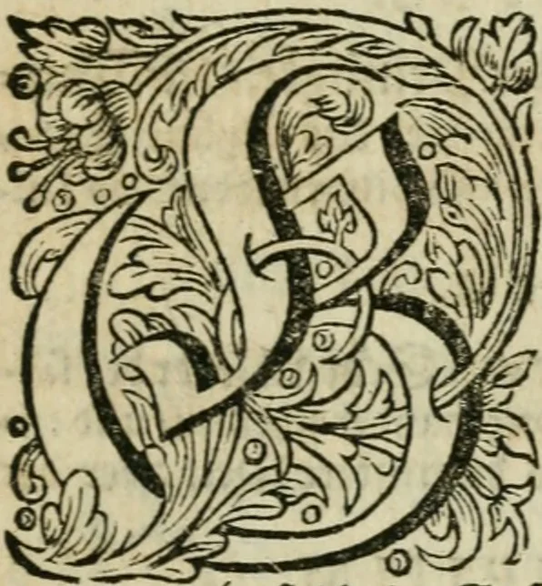 An illustration from Des gottseeligen hocherleuchteten Jacob Böhmens teutonici Philosophi Alle theosophische Wercken : darinnen alle tieffe Geheimnüsse Gottes der ewigen und zeitlichen Natur und Creatur : samt dem wahren Grunde christlicher Religion und der Gottseeligkeit, nach dem apostolischen Gezeugnüss offenbahrer werden : theils aus des Authoris eigenen Originalen, theils aus den ersten und nachgesehenen besten Copyen auffs fleissigste corrigiret : und in Beyfügung etlicher Clavium so vorhin noch nie gedruckt, nebenst einem zweyfachen Register : den Liebhabern göttlicher und natürlicher Weissheit zum besten an Tag gegeben, 1682, leaf 1110