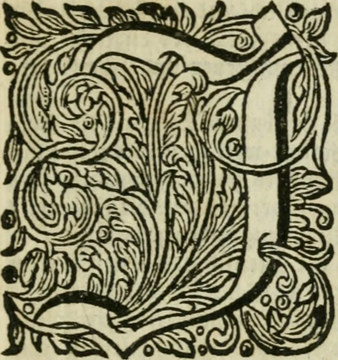 An illustration from Des gottseeligen hocherleuchteten Jacob Böhmens teutonici Philosophi Alle theosophische Wercken : darinnen alle tieffe Geheimnüsse Gottes der ewigen und zeitlichen Natur und Creatur : samt dem wahren Grunde christlicher Religion und der Gottseeligkeit, nach dem apostolischen Gezeugnüss offenbahrer werden : theils aus des Authoris eigenen Originalen, theils aus den ersten und nachgesehenen besten Copyen auffs fleissigste corrigiret : und in Beyfügung etlicher Clavium so vorhin noch nie gedruckt, nebenst einem zweyfachen Register : den Liebhabern göttlicher und natürlicher Weissheit zum besten an Tag gegeben, 1682, leaf 1128