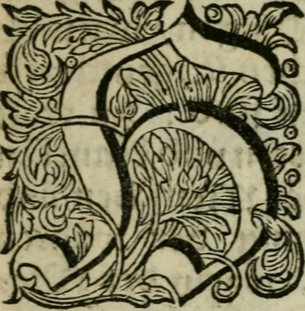 An illustration from Des gottseeligen hocherleuchteten Jacob Böhmens teutonici Philosophi Alle theosophische Wercken : darinnen alle tieffe Geheimnüsse Gottes der ewigen und zeitlichen Natur und Creatur : samt dem wahren Grunde christlicher Religion und der Gottseeligkeit, nach dem apostolischen Gezeugnüss offenbahrer werden : theils aus des Authoris eigenen Originalen, theils aus den ersten und nachgesehenen besten Copyen auffs fleissigste corrigiret : und in Beyfügung etlicher Clavium so vorhin noch nie gedruckt, nebenst einem zweyfachen Register : den Liebhabern göttlicher und natürlicher Weissheit zum besten an Tag gegeben, 1682, leaf 12