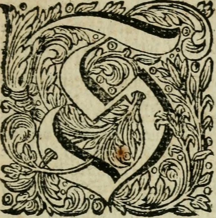 An illustration from Des gottseeligen hocherleuchteten Jacob Böhmens teutonici Philosophi Alle theosophische Wercken : darinnen alle tieffe Geheimnüsse Gottes der ewigen und zeitlichen Natur und Creatur : samt dem wahren Grunde christlicher Religion und der Gottseeligkeit, nach dem apostolischen Gezeugnüss offenbahrer werden : theils aus des Authoris eigenen Originalen, theils aus den ersten und nachgesehenen besten Copyen auffs fleissigste corrigiret : und in Beyfügung etlicher Clavium so vorhin noch nie gedruckt, nebenst einem zweyfachen Register : den Liebhabern göttlicher und natürlicher Weissheit zum besten an Tag gegeben, 1682, leaf 14
