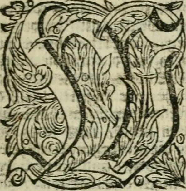 An illustration from Des gottseeligen hocherleuchteten Jacob Böhmens teutonici Philosophi Alle theosophische Wercken : darinnen alle tieffe Geheimnüsse Gottes der ewigen und zeitlichen Natur und Creatur : samt dem wahren Grunde christlicher Religion und der Gottseeligkeit, nach dem apostolischen Gezeugnüss offenbahrer werden : theils aus des Authoris eigenen Originalen, theils aus den ersten und nachgesehenen besten Copyen auffs fleissigste corrigiret : und in Beyfügung etlicher Clavium so vorhin noch nie gedruckt, nebenst einem zweyfachen Register : den Liebhabern göttlicher und natürlicher Weissheit zum besten an Tag gegeben, 1682, leaf 42