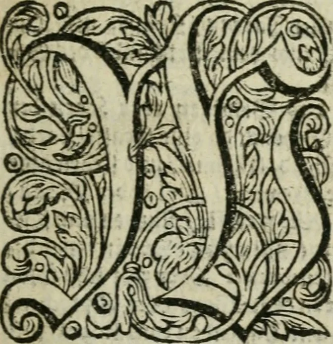 An illustration from Des gottseeligen hocherleuchteten Jacob Böhmens teutonici Philosophi Alle theosophische Wercken : darinnen alle tieffe Geheimnüsse Gottes der ewigen und zeitlichen Natur und Creatur : samt dem wahren Grunde christlicher Religion und der Gottseeligkeit, nach dem apostolischen Gezeugnüss offenbahrer werden : theils aus des Authoris eigenen Originalen, theils aus den ersten und nachgesehenen besten Copyen auffs fleissigste corrigiret : und in Beyfügung etlicher Clavium so vorhin noch nie gedruckt, nebenst einem zweyfachen Register : den Liebhabern göttlicher und natürlicher Weissheit zum besten an Tag gegeben, 1682, leaf 46