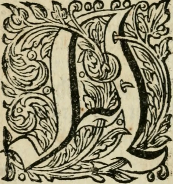 An illustration from Des gottseeligen hocherleuchteten Jacob Böhmens teutonici Philosophi Alle theosophische Wercken : darinnen alle tieffe Geheimnüsse Gottes der ewigen und zeitlichen Natur und Creatur : samt dem wahren Grunde christlicher Religion und der Gottseeligkeit, nach dem apostolischen Gezeugnüss offenbahrer werden : theils aus des Authoris eigenen Originalen, theils aus den ersten und nachgesehenen besten Copyen auffs fleissigste corrigiret : und in Beyfügung etlicher Clavium so vorhin noch nie gedruckt, nebenst einem zweyfachen Register : den Liebhabern göttlicher und natürlicher Weissheit zum besten an Tag gegeben, 1682, leaf 841