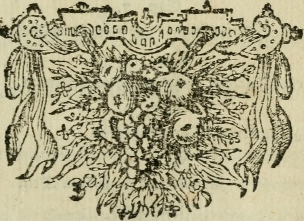 An illustration from Des gottseeligen hocherleuchteten Jacob Böhmens teutonici Philosophi Alle theosophische Wercken : darinnen alle tieffe Geheimnüsse Gottes der ewigen und zeitlichen Natur und Creatur : samt dem wahren Grunde christlicher Religion und der Gottseeligkeit, nach dem apostolischen Gezeugnüss offenbahrer werden : theils aus des Authoris eigenen Originalen, theils aus den ersten und nachgesehenen besten Copyen auffs fleissigste corrigiret : und in Beyfügung etlicher Clavium so vorhin noch nie gedruckt, nebenst einem zweyfachen Register : den Liebhabern göttlicher und natürlicher Weissheit zum besten an Tag gegeben, 1682, leaf 844