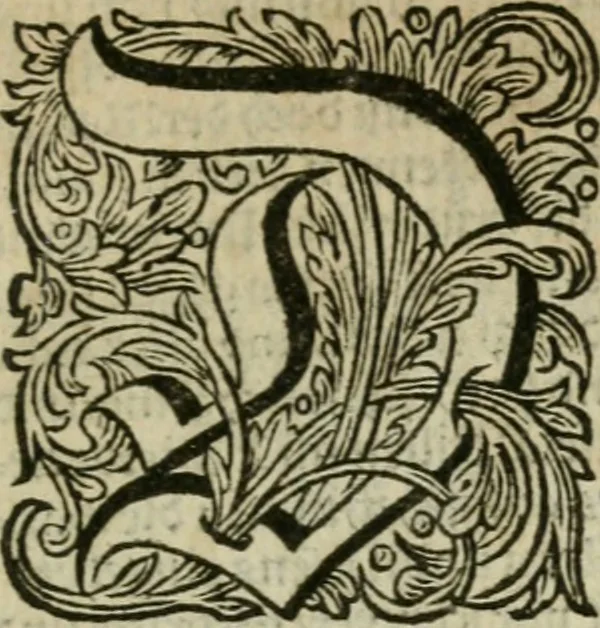 An illustration from Des gottseeligen hocherleuchteten Jacob Böhmens teutonici Philosophi Alle theosophische Wercken : darinnen alle tieffe Geheimnüsse Gottes der ewigen und zeitlichen Natur und Creatur : samt dem wahren Grunde christlicher Religion und der Gottseeligkeit, nach dem apostolischen Gezeugnüss offenbahrer werden : theils aus des Authoris eigenen Originalen, theils aus den ersten und nachgesehenen besten Copyen auffs fleissigste corrigiret : und in Beyfügung etlicher Clavium so vorhin noch nie gedruckt, nebenst einem zweyfachen Register : den Liebhabern göttlicher und natürlicher Weissheit zum besten an Tag gegeben, 1682, leaf 858