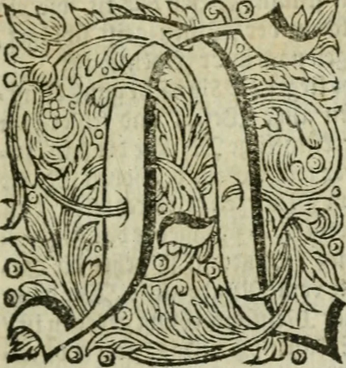 An illustration from Des gottseeligen hocherleuchteten Jacob Böhmens teutonici Philosophi Alle theosophische Wercken : darinnen alle tieffe Geheimnüsse Gottes der ewigen und zeitlichen Natur und Creatur : samt dem wahren Grunde christlicher Religion und der Gottseeligkeit, nach dem apostolischen Gezeugnüss offenbahrer werden : theils aus des Authoris eigenen Originalen, theils aus den ersten und nachgesehenen besten Copyen auffs fleissigste corrigiret : und in Beyfügung etlicher Clavium so vorhin noch nie gedruckt, nebenst einem zweyfachen Register : den Liebhabern göttlicher und natürlicher Weissheit zum besten an Tag gegeben, 1682, leaf 860