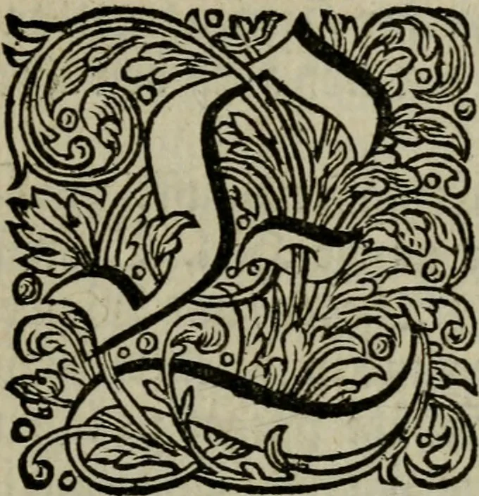 An illustration from Des gottseligen hocherleuchteten Jacob Böhmens, Teutonici Philosophi, alle theosophische Wercken, 1682, leaf 20