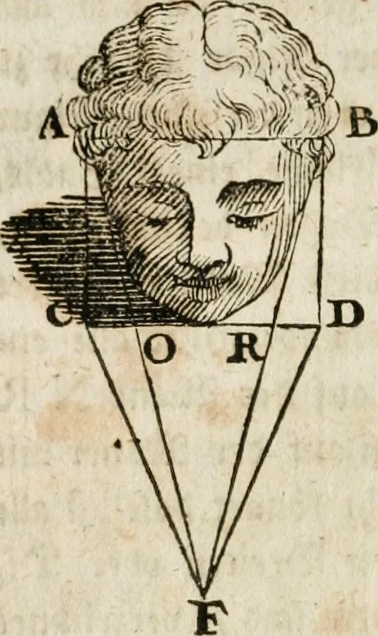 An illustration from Des Herrn Leonhard von Vinci, ersten Mahlers in Florenz, Praktisches Werk von der Mahlerey : worinnen diese vortrefliche Kunst hauptsächlich nach geometrisch- optisch- und mechanischen Grunden gelehret : wie auch nach anatomischen Regeln die verschiedenen Stellungen, Bewegungen und Berrichtungen der Glieder des menschlichen Körpors, deutlich vorgestellet wird, 1786, leaf 107