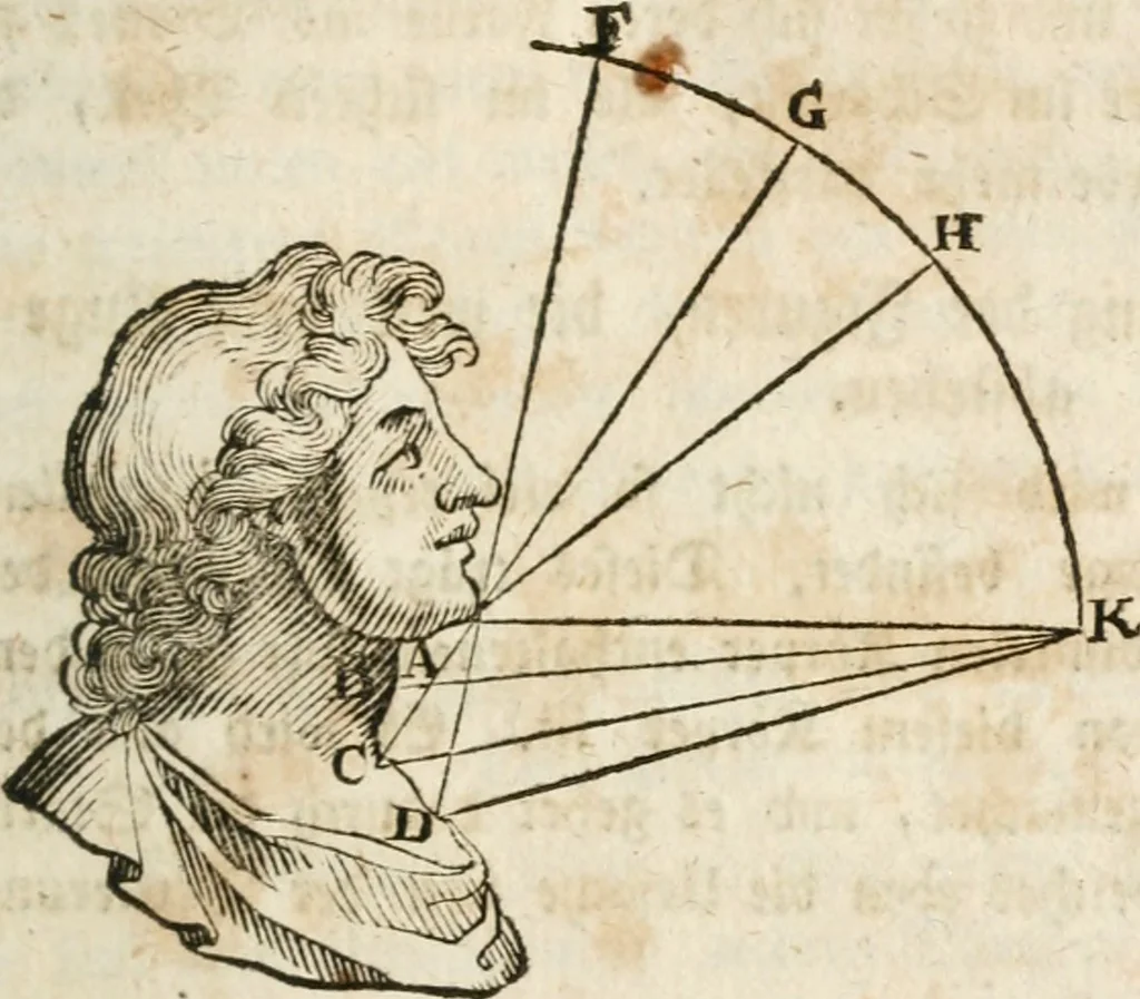 An illustration from Des Herrn Leonhard von Vinci, ersten Mahlers in Florenz, Praktisches Werk von der Mahlerey : worinnen diese vortrefliche Kunst hauptsächlich nach geometrisch- optisch- und mechanischen Grunden gelehret : wie auch nach anatomischen Regeln die verschiedenen Stellungen, Bewegungen und Berrichtungen der Glieder des menschlichen Körpors, deutlich vorgestellet wird, 1786, leaf 114
