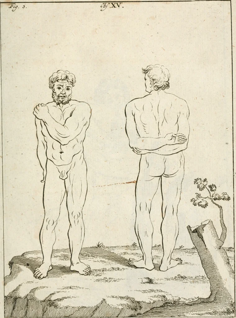 An illustration from Des Herrn Leonhard von Vinci, ersten Mahlers in Florenz, Praktisches Werk von der Mahlerey : worinnen diese vortrefliche Kunst hauptsächlich nach geometrisch- optisch- und mechanischen Grunden gelehret : wie auch nach anatomischen Regeln die verschiedenen Stellungen, Bewegungen und Berrichtungen der Glieder des menschlichen Körpors, deutlich vorgestellet wird, 1786, leaf 222