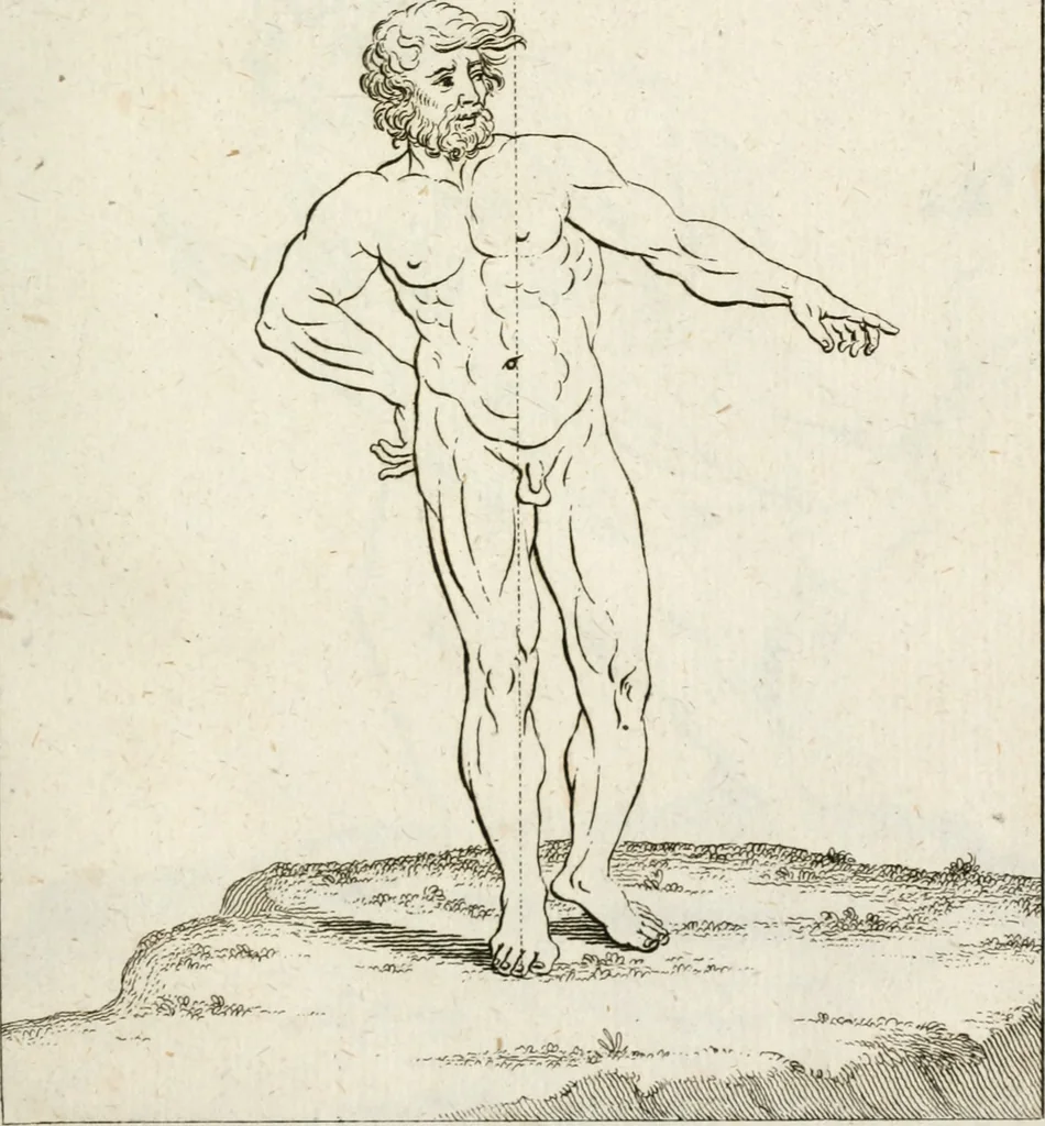 An illustration from Des Herrn Leonhard von Vinci, ersten Mahlers in Florenz, Praktisches Werk von der Mahlerey : worinnen diese vortrefliche Kunst hauptsächlich nach geometrisch- optisch- und mechanischen Grunden gelehret : wie auch nach anatomischen Regeln die verschiedenen Stellungen, Bewegungen und Berrichtungen der Glieder des menschlichen Körpors, deutlich vorgestellet wird, 1786, leaf 226