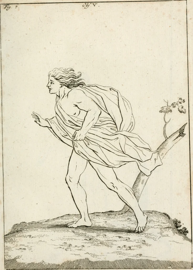 An illustration from Des Herrn Leonhard von Vinci, ersten Mahlers in Florenz, Praktisches Werk von der Mahlerey : worinnen diese vortrefliche Kunst hauptsächlich nach geometrisch- optisch- und mechanischen Grunden gelehret : wie auch nach anatomischen Regeln die verschiedenen Stellungen, Bewegungen und Berrichtungen der Glieder des menschlichen Körpors, deutlich vorgestellet wird, 1786, leaf 228