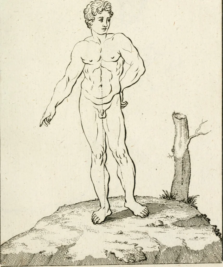 An illustration from Des Herrn Leonhard von Vinci, ersten Mahlers in Florenz, Praktisches Werk von der Mahlerey : worinnen diese vortrefliche Kunst hauptsächlich nach geometrisch- optisch- und mechanischen Grunden gelehret : wie auch nach anatomischen Regeln die verschiedenen Stellungen, Bewegungen und Berrichtungen der Glieder des menschlichen Körpors, deutlich vorgestellet wird, 1786, leaf 230