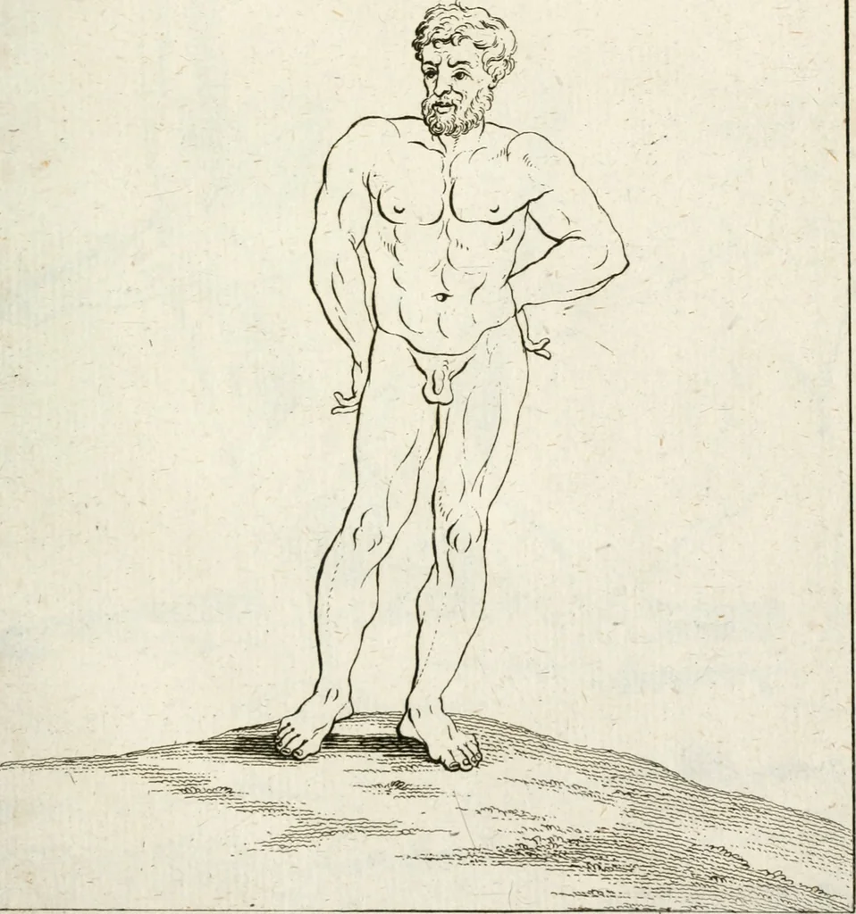 An illustration from Des Herrn Leonhard von Vinci, ersten Mahlers in Florenz, Praktisches Werk von der Mahlerey : worinnen diese vortrefliche Kunst hauptsächlich nach geometrisch- optisch- und mechanischen Grunden gelehret : wie auch nach anatomischen Regeln die verschiedenen Stellungen, Bewegungen und Berrichtungen der Glieder des menschlichen Körpors, deutlich vorgestellet wird, 1786, leaf 232