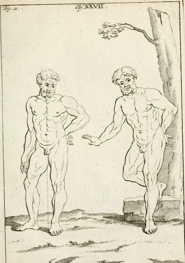 An illustration from Des Herrn Leonhard von Vinci, ersten Mahlers in Florenz, Praktisches Werk von der Mahlerey : worinnen diese vortrefliche Kunst hauptsächlich nach geometrisch- optisch- und mechanischen Grunden gelehret : wie auch nach anatomischen Regeln die verschiedenen Stellungen, Bewegungen und Berrichtungen der Glieder des menschlichen Körpors, deutlich vorgestellet wird, 1786, leaf 240