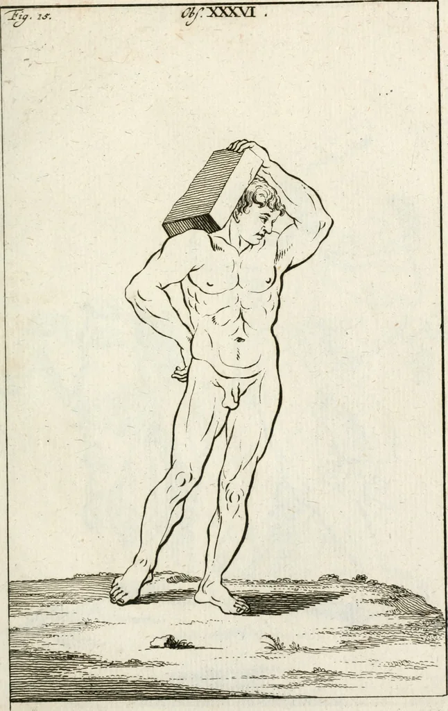 An illustration from Des Herrn Leonhard von Vinci, ersten Mahlers in Florenz, Praktisches Werk von der Mahlerey : worinnen diese vortrefliche Kunst hauptsächlich nach geometrisch- optisch- und mechanischen Grunden gelehret : wie auch nach anatomischen Regeln die verschiedenen Stellungen, Bewegungen und Berrichtungen der Glieder des menschlichen Körpors, deutlich vorgestellet wird, 1786, leaf 244
