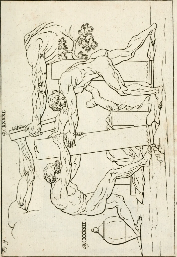 An illustration from Des Herrn Leonhard von Vinci, ersten Mahlers in Florenz, Praktisches Werk von der Mahlerey : worinnen diese vortrefliche Kunst hauptsächlich nach geometrisch- optisch- und mechanischen Grunden gelehret : wie auch nach anatomischen Regeln die verschiedenen Stellungen, Bewegungen und Berrichtungen der Glieder des menschlichen Körpors, deutlich vorgestellet wird, 1786, leaf 252