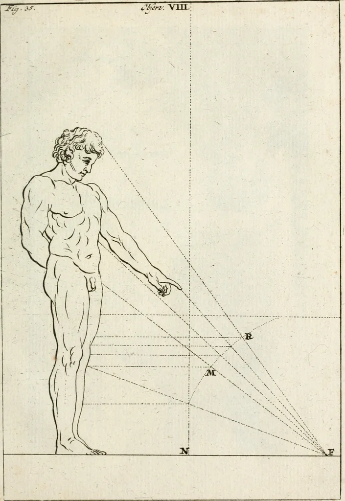 An illustration from Des Herrn Leonhard von Vinci, ersten Mahlers in Florenz, Praktisches Werk von der Mahlerey : worinnen diese vortrefliche Kunst hauptsächlich nach geometrisch- optisch- und mechanischen Grunden gelehret : wie auch nach anatomischen Regeln die verschiedenen Stellungen, Bewegungen und Berrichtungen der Glieder des menschlichen Körpors, deutlich vorgestellet wird, 1786, leaf 260