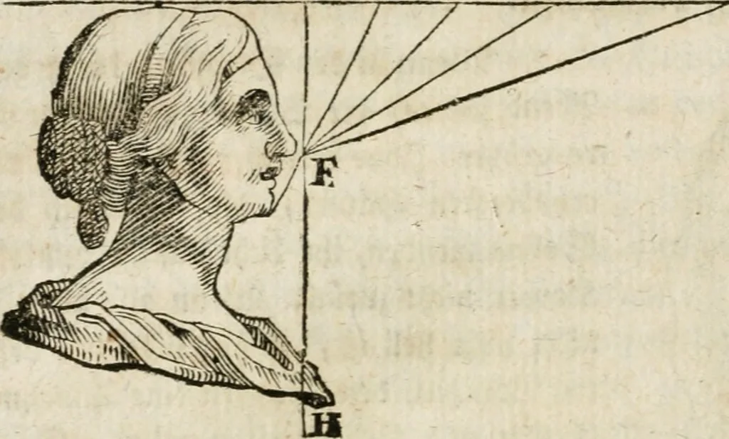 An illustration from Des Herrn Leonhard von Vinci, ersten Mahlers in Florenz, Praktisches Werk von der Mahlerey : worinnen diese vortrefliche Kunst hauptsächlich nach geometrisch- optisch- und mechanischen Grunden gelehret : wie auch nach anatomischen Regeln die verschiedenen Stellungen, Bewegungen und Berrichtungen der Glieder des menschlichen Körpors, deutlich vorgestellet wird, 1786, leaf 77