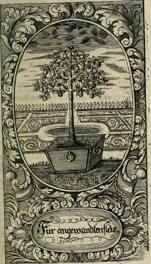 An illustration from Des hocherleuchteten seel. Herrn Johann Arndts, General-Superint. des Fürstenthums Lüneburg Neu-eröffnetes Paradiess-Gärtlein : worinn allen Liebhabern des Wahren Christenthums, durch lehr- und trostreiche Gebeter gezeiget, wie sie ... eifrig zu Gott beten ... auch in Creutz und Leiden andächtig zu Gott seufftzen können : zum bequemen Gebrauch mit drey unterschiedenen Registern, ... auch anitzo zum ersten Mahl mit neuen erbaulichen Sinn-Bildern, dergleichen noch bey keiner andern Edition zu finden, nicht weniger denen merckwürdigen Wunder-Geschichten, so mit diesem geistreichen Buche sich zugetragen, versehen, 1708, leaf 104