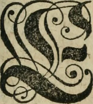 An illustration from Des Hocherleuchteten Sel. Johann Arndts, General-Superintendentens des Fürstenthums Lüneburg, Fünff geistreiche Bücher, vom wahren Christenthum ... : Welchen noch beygefüget drey andere kleine Bücher welchen zu des sel. Joahnn Arndts wahren Christenthum gehörig .., 1740, leaf 1298