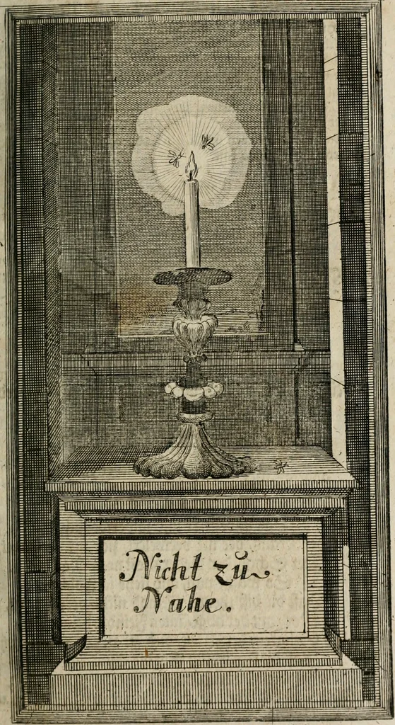 An illustration from Des Hocherleuchteten Sel. Johann Arndts, General-Superintendentens des Fürstenthums Lüneburg, Fünff geistreiche Bücher, vom wahren Christenthum ... : Welchen noch beygefüget drey andere kleine Bücher welchen zu des sel. Joahnn Arndts wahren Christenthum gehörig .., 1740, leaf 194
