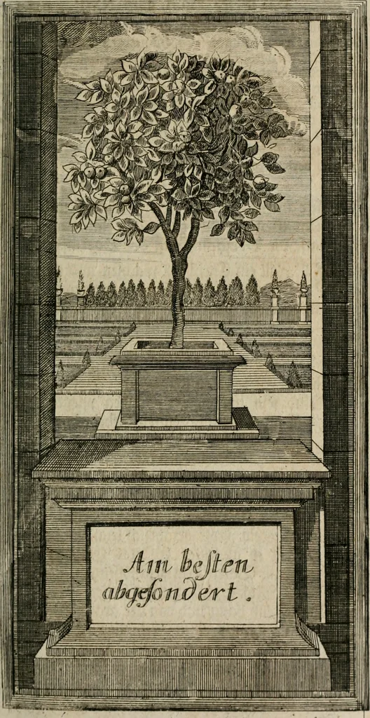 An illustration from Des Hocherleuchteten Sel. Johann Arndts, General-Superintendentens des Fürstenthums Lüneburg, Fünff geistreiche Bücher, vom wahren Christenthum ... : Welchen noch beygefüget drey andere kleine Bücher welchen zu des sel. Joahnn Arndts wahren Christenthum gehörig .., 1740, leaf 244