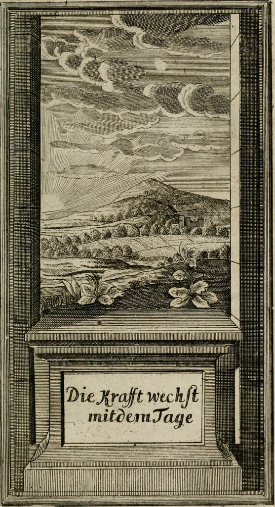 An illustration from Des Hocherleuchteten Sel. Johann Arndts, General-Superintendentens des Fürstenthums Lüneburg, Fünff geistreiche Bücher, vom wahren Christenthum ... : Welchen noch beygefüget drey andere kleine Bücher welchen zu des sel. Joahnn Arndts wahren Christenthum gehörig .., 1740, leaf 792