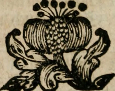 An illustration from Des Hocherleuchteten Sel. Johann Arndts, General-Superintendentens des Fürstenthums Lüneburg, Fünff geistreiche Bücher, vom wahren Christenthum ... : Welchen noch beygefüget drey andere kleine Bücher welchen zu des sel. Joahnn Arndts wahren Christenthum gehörig .., 1740, leaf 979