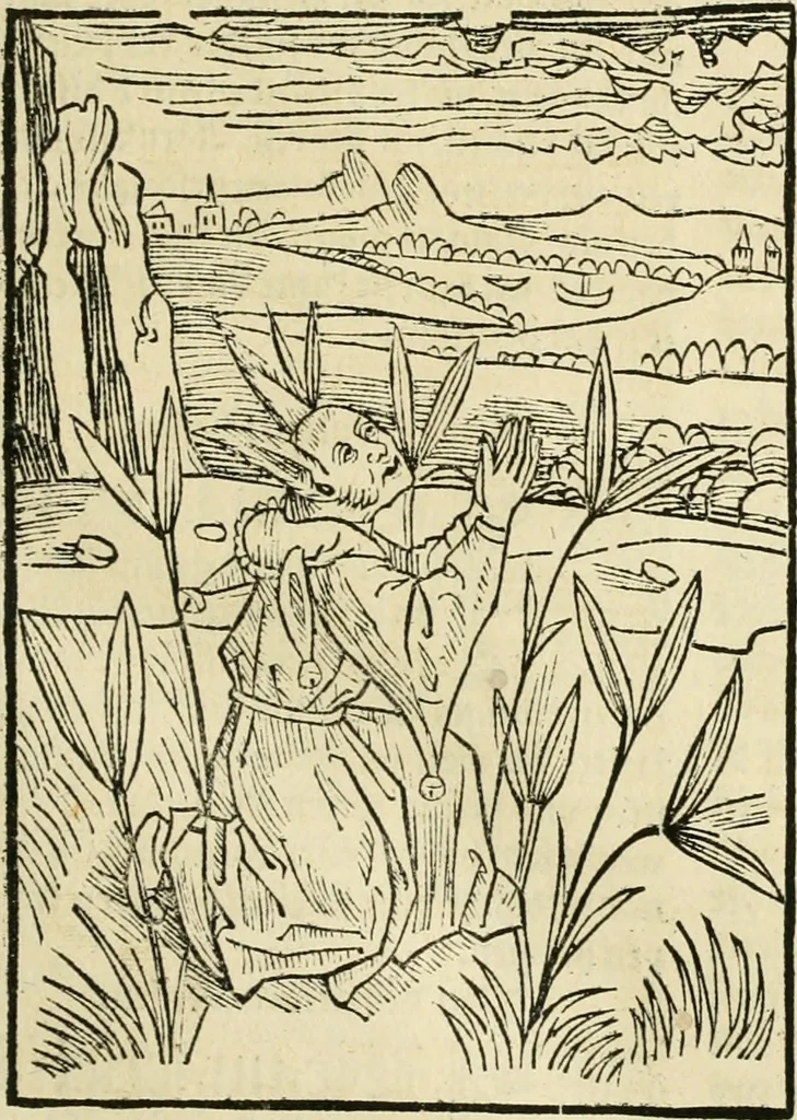 An illustration from Des hochwirdigen doctor Keiserspergs narenschiff : so er gepredigt hat zü Strassburg in der hohen stifft daselbst Predictãt d. zeit i498 dis geprediget :vnd vss latin in tütsch bracht, darin vil weissheit ist zü lerne, vnd leert auch die narreschel hinweck werffen ist nütz vnd güt alen menschen, 1520, leaf 104