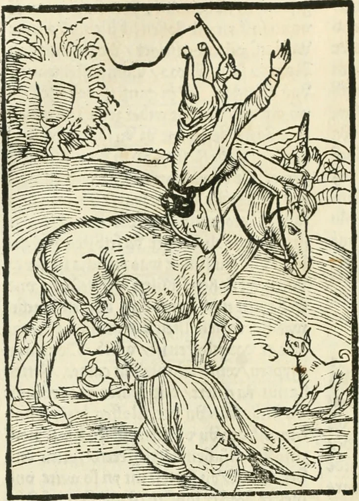 An illustration from Des hochwirdigen doctor Keiserspergs narenschiff : so er gepredigt hat zü Strassburg in der hohen stifft daselbst Predictãt d. zeit i498 dis geprediget :vnd vss latin in tütsch bracht, darin vil weissheit ist zü lerne, vnd leert auch die narreschel hinweck werffen ist nütz vnd güt alen menschen, 1520, leaf 151