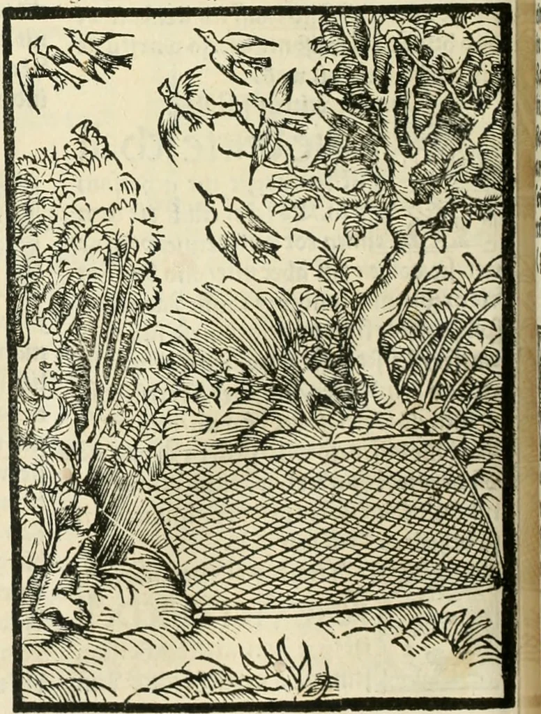 An illustration from Des hochwirdigen doctor Keiserspergs narenschiff : so er gepredigt hat zü Strassburg in der hohen stifft daselbst Predictãt d. zeit i498 dis geprediget :vnd vss latin in tütsch bracht, darin vil weissheit ist zü lerne, vnd leert auch die narreschel hinweck werffen ist nütz vnd güt alen menschen, 1520, leaf 161