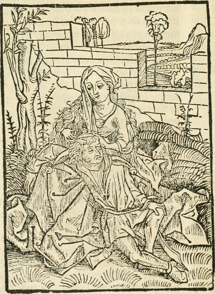 An illustration from Des hochwirdigen doctor Keiserspergs narenschiff : so er gepredigt hat zü Strassburg in der hohen stifft daselbst Predictãt d. zeit i498 dis geprediget :vnd vss latin in tütsch bracht, darin vil weissheit ist zü lerne, vnd leert auch die narreschel hinweck werffen ist nütz vnd güt alen menschen, 1520, leaf 189