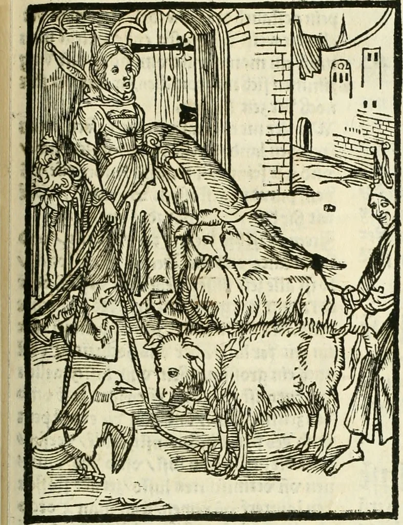 An illustration from Des hochwirdigen doctor Keiserspergs narenschiff : so er gepredigt hat zü Strassburg in der hohen stifft daselbst Predictãt d. zeit i498 dis geprediget :vnd vss latin in tütsch bracht, darin vil weissheit ist zü lerne, vnd leert auch die narreschel hinweck werffen ist nütz vnd güt alen menschen, 1520, leaf 204