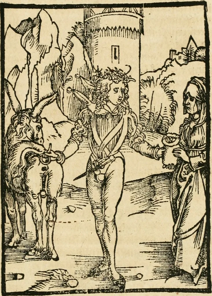An illustration from Des hochwirdigen doctor Keiserspergs narenschiff : so er gepredigt hat zü Strassburg in der hohen stifft daselbst Predictãt d. zeit i498 dis geprediget :vnd vss latin in tütsch bracht, darin vil weissheit ist zü lerne, vnd leert auch die narreschel hinweck werffen ist nütz vnd güt alen menschen, 1520, leaf 208
