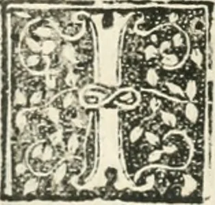 An illustration from Des hochwirdigen doctor Keiserspergs narenschiff : so er gepredigt hat zü Strassburg in der hohen stifft daselbst Predictãt d. zeit i498 dis geprediget :vnd vss latin in tütsch bracht, darin vil weissheit ist zü lerne, vnd leert auch die narreschel hinweck werffen ist nütz vnd güt alen menschen, 1520, leaf 217