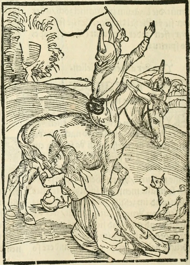An illustration from Des hochwirdigen doctor Keiserspergs narenschiff : so er gepredigt hat zü Strassburg in der hohen stifft daselbst Predictãt d. zeit i498 dis geprediget :vnd vss latin in tütsch bracht, darin vil weissheit ist zü lerne, vnd leert auch die narreschel hinweck werffen ist nütz vnd güt alen menschen, 1520, leaf 249