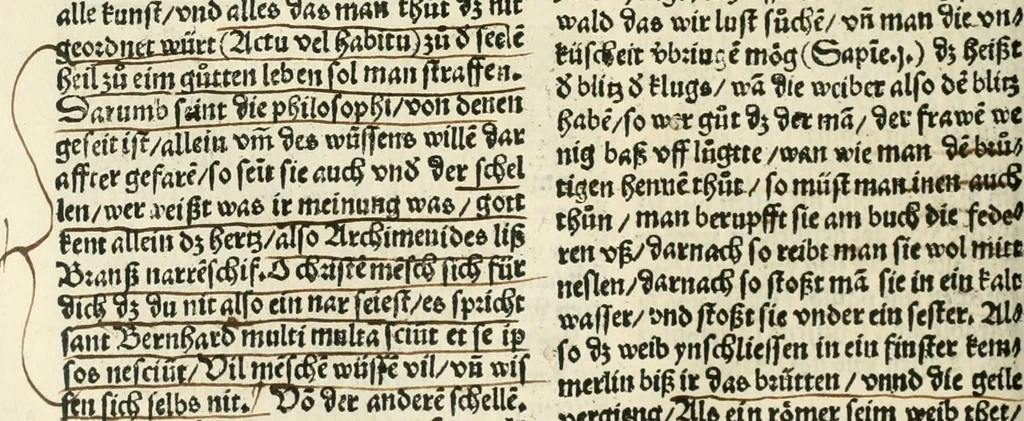 An illustration from Des hochwirdigen doctor Keiserspergs narenschiff : so er gepredigt hat zü Strassburg in der hohen stifft daselbst Predictãt d. zeit i498 dis geprediget :vnd vss latin in tütsch bracht, darin vil weissheit ist zü lerne, vnd leert auch die narreschel hinweck werffen ist nütz vnd güt alen menschen, 1520, leaf 255