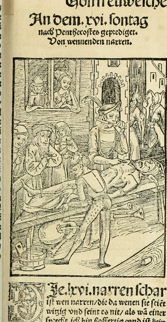 An illustration from Des hochwirdigen doctor Keiserspergs narenschiff : so er gepredigt hat zü Strassburg in der hohen stifft daselbst Predictãt d. zeit i498 dis geprediget :vnd vss latin in tütsch bracht, darin vil weissheit ist zü lerne, vnd leert auch die narreschel hinweck werffen ist nütz vnd güt alen menschen, 1520, leaf 258