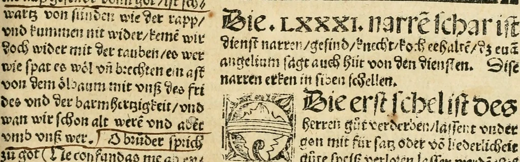An illustration from Des hochwirdigen doctor Keiserspergs narenschiff : so er gepredigt hat zü Strassburg in der hohen stifft daselbst Predictãt d. zeit i498 dis geprediget :vnd vss latin in tütsch bracht, darin vil weissheit ist zü lerne, vnd leert auch die narreschel hinweck werffen ist nütz vnd güt alen menschen, 1520, leaf 316