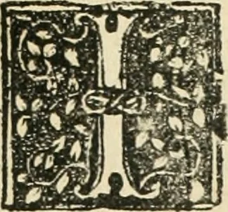 An illustration from Des hochwirdigen doctor Keiserspergs narenschiff : so er gepredigt hat zü Strassburg in der hohen stifft daselbst Predictãt d. zeit i498 dis geprediget :vnd vss latin in tütsch bracht, darin vil weissheit ist zü lerne, vnd leert auch die narreschel hinweck werffen ist nütz vnd güt alen menschen, 1520, leaf 346