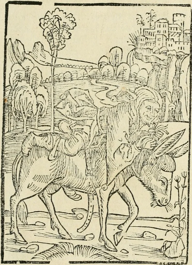 An illustration from Des hochwirdigen doctor Keiserspergs narenschiff : so er gepredigt hat zü Strassburg in der hohen stifft daselbst Predictãt d. zeit i498 dis geprediget :vnd vss latin in tütsch bracht, darin vil weissheit ist zü lerne, vnd leert auch die narreschel hinweck werffen ist nütz vnd güt alen menschen, 1520, leaf 406