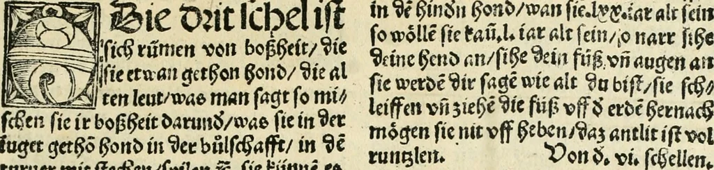 An illustration from Des hochwirdigen doctor Keiserspergs narenschiff : so er gepredigt hat zü Strassburg in der hohen stifft daselbst Predictãt d. zeit i498 dis geprediget :vnd vss latin in tütsch bracht, darin vil weissheit ist zü lerne, vnd leert auch die narreschel hinweck werffen ist nütz vnd güt alen menschen, 1520, leaf 48
