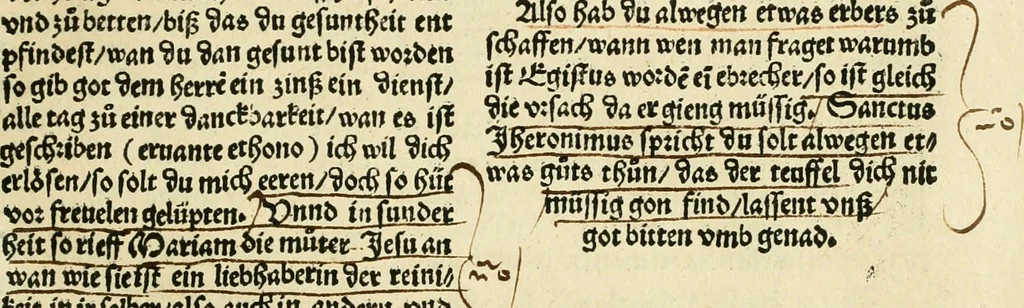 An illustration from Des hochwirdigen doctor Keiserspergs narenschiff : so er gepredigt hat zü Strassburg in der hohen stifft daselbst Predictãt d. zeit i498 dis geprediget :vnd vss latin in tütsch bracht, darin vil weissheit ist zü lerne, vnd leert auch die narreschel hinweck werffen ist nütz vnd güt alen menschen, 1520, leaf 78