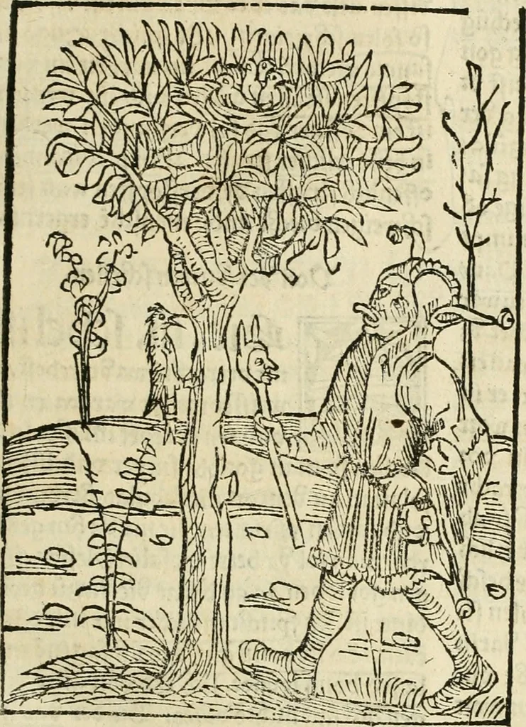 An illustration from Des hochwirdigen doctor Keiserspergs narenschiff : so er gepredigt hat zü Strassburg in der hohen stifft daselbst Predictãt d. zeit i498 dis geprediget :vnd vss latin in tütsch bracht, darin vil weissheit ist zü lerne, vnd leert auch die narreschel hinweck werffen ist nütz vnd güt alen menschen, 1520, leaf 98