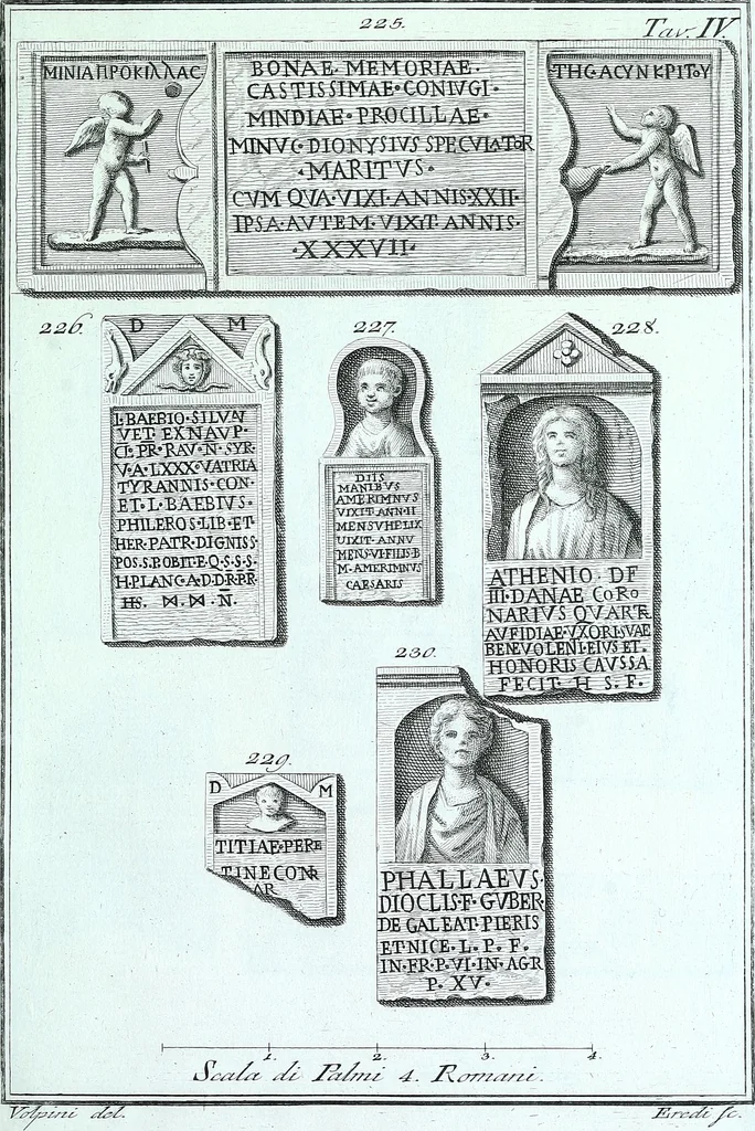 An illustration from Desiderii Spreti historici Ravennatis De amplitudine, eversione, et restauratione urbis Ravennae libri tres, 1793, leaf 308